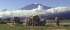 Episodio 29 - Il Kilimangiaro e i suoi misteri