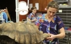 Episodio 15 - Dr.ssa Susan: missione veterinaria