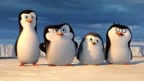Episodio 8 - I pinguini di Madagascar