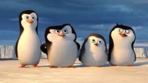 Episodio 52 - I pinguini di Madagascar