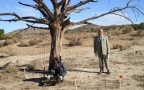 Episodio 6 - Bellezza eccitante, pericolo costante