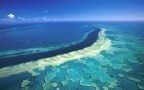 Episodio 7 - La Grande Barriera - Il Reef