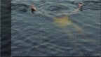 Episodio 1 - Dark Waters: acque mortali