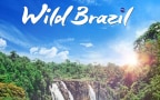 Episodio 4 - Wild Brazil