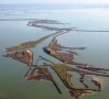 Episodio 8 - Valli del Comacchio e Delta del Po, un territorio magico e suggestivo