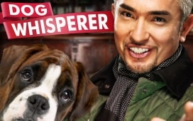Episodio 28 - Dog Whisperer  - Uno psicologo da cani