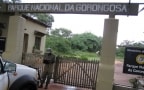 Episodio 4 - I misteri di Gorongosa