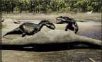 Episodio 1 - Secrets of the Jurassic Dinosaurs