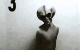 Episodio 12 - Alieni: incontri ravvicinati