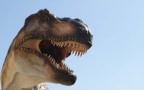 Episodio 3 - Lo Spinosaurus