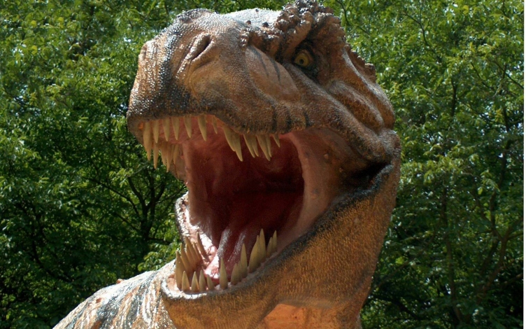 T-Rex: l'ultimo sopravvissuto: Guida TV  - TV Sorrisi e Canzoni