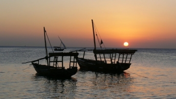 Zanzibar 3D: Guida TV  - TV Sorrisi e Canzoni