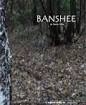 Banshee: Guida TV  - TV Sorrisi e Canzoni