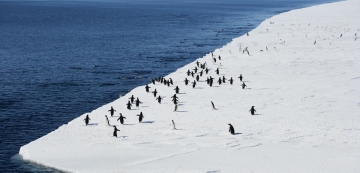 Antarctica - On the Edge: Guida TV  - TV Sorrisi e Canzoni