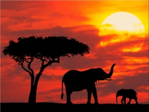 Speciale La Mia Africa: Guida TV  - TV Sorrisi e Canzoni