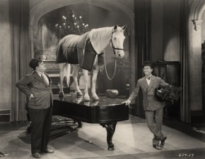 Di nuovo sbagliato - Blue Boy, un cavallo per un quadro: Guida TV  - TV Sorrisi e Canzoni