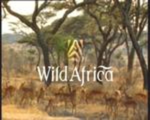 Wild Africa: Guida TV  - TV Sorrisi e Canzoni