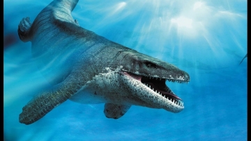 Sea Rex 3D: Guida TV  - TV Sorrisi e Canzoni