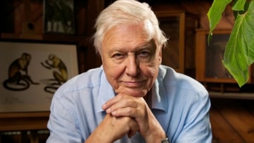 Alla conquista dei cieli con David Attenborough: Guida TV  - TV Sorrisi e Canzoni