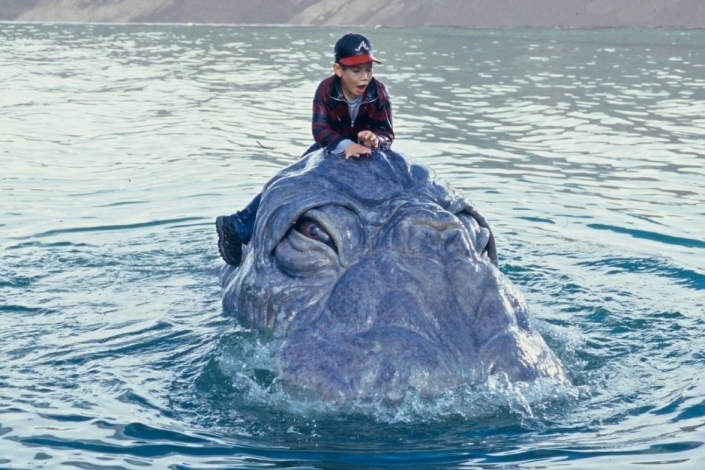 Mee-Shee. Il gigante acquatico: Guida TV  - TV Sorrisi e Canzoni