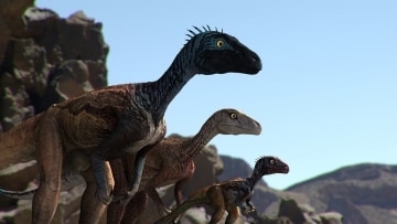 La terra dopo i dinosauri: Guida TV  - TV Sorrisi e Canzoni
