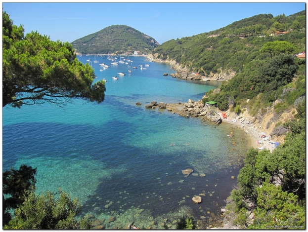 Wild Italy: Guida TV  - TV Sorrisi e Canzoni