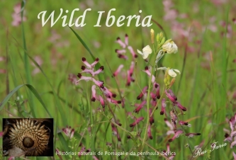 Wild Iberia: Guida TV  - TV Sorrisi e Canzoni