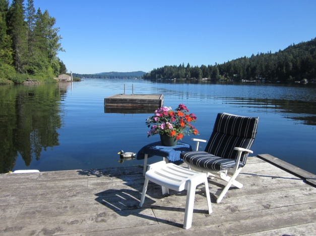 Lake Life: Guida TV  - TV Sorrisi e Canzoni