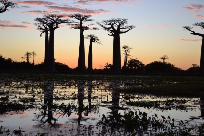 Madagascar La Terra Perduta Di Lemuria: Guida TV  - TV Sorrisi e Canzoni