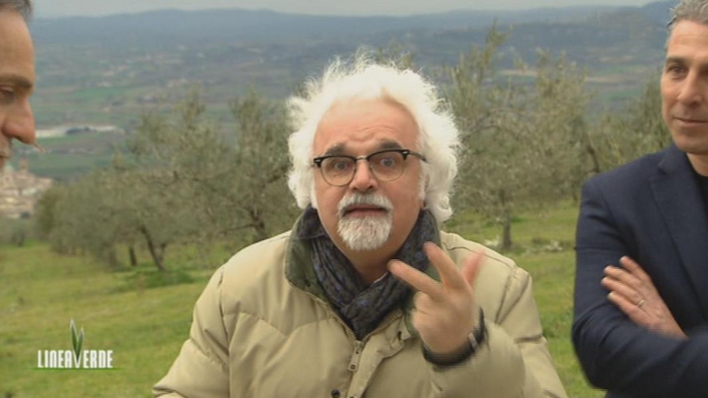 Linea Verde Domenica: Guida TV  - TV Sorrisi e Canzoni