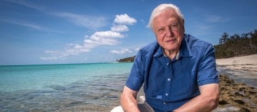 Attenborough e la grande barriera corallina: Guida TV  - TV Sorrisi e Canzoni