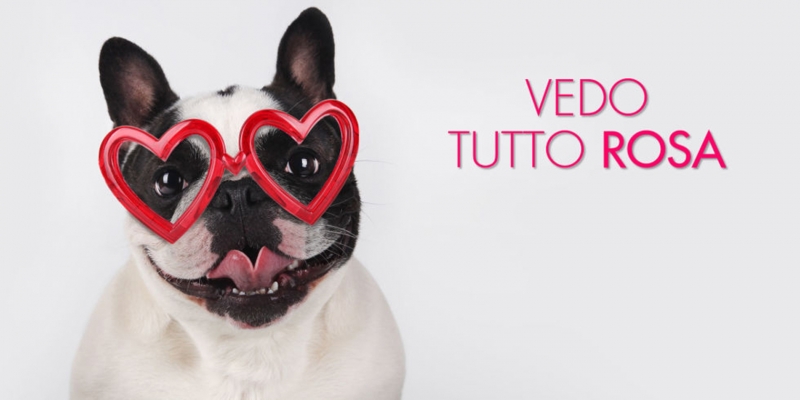 Nautilus Doc - SorprendenteMente: Guida TV  - TV Sorrisi e Canzoni