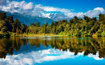Wild Nuova Zelanda: Guida TV  - TV Sorrisi e Canzoni
