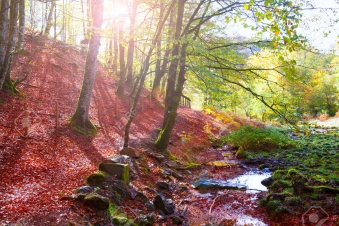 Wild Iberia: Guida TV  - TV Sorrisi e Canzoni