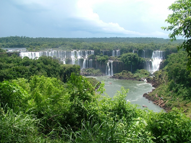 Wild Africa: Guida TV  - TV Sorrisi e Canzoni