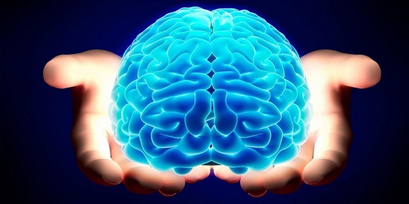La storia del cervello: Guida TV  - TV Sorrisi e Canzoni