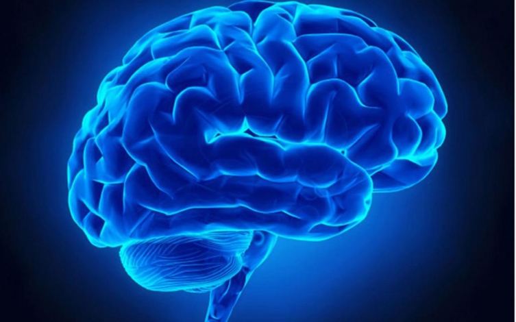 La storia del cervello: Guida TV  - TV Sorrisi e Canzoni