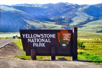 Curiosity: Yellowstone ai raggi X: Guida TV  - TV Sorrisi e Canzoni
