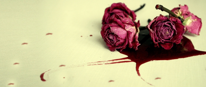 Storie Di Violenza Domestica: Guida TV  - TV Sorrisi e Canzoni