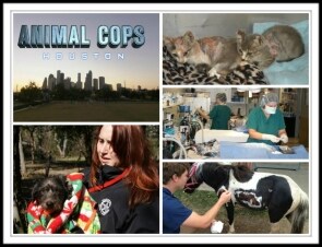 Animal Cops Houston: Guida TV  - TV Sorrisi e Canzoni