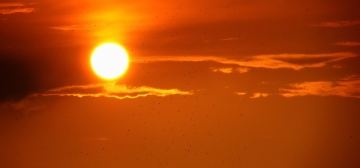 Il Sole: storia di una stella: Guida TV  - TV Sorrisi e Canzoni
