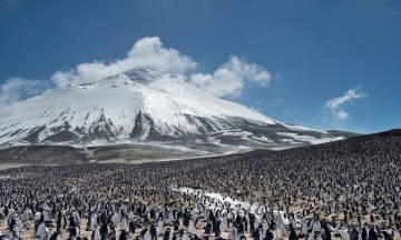 Planet Earth - I Diari: Guida TV  - TV Sorrisi e Canzoni