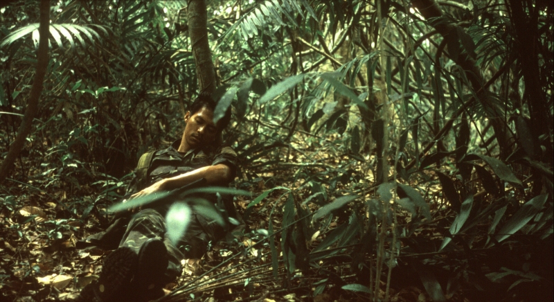 Tropical Malady: Guida TV  - TV Sorrisi e Canzoni
