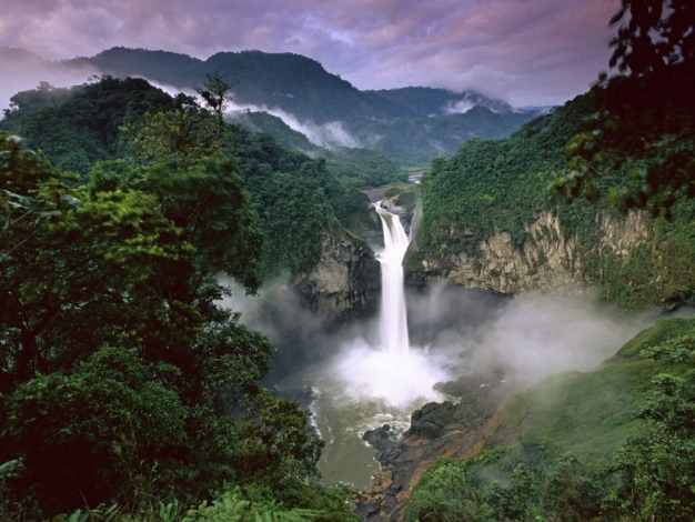 Wild Sudamerica: Guida TV  - TV Sorrisi e Canzoni