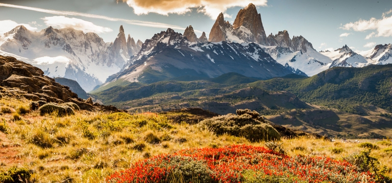 Wild Sudamerica: Guida TV  - TV Sorrisi e Canzoni