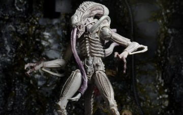 Alien - The Director's Cut: Guida TV  - TV Sorrisi e Canzoni