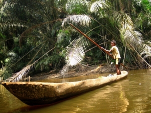 Wild Congo: Guida TV  - TV Sorrisi e Canzoni