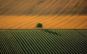 La terra vista dal cielo: Guida TV  - TV Sorrisi e Canzoni