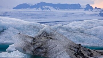 Wildest Arctic: Guida TV  - TV Sorrisi e Canzoni
