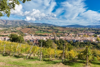 The Genius of Marche: Guida TV  - TV Sorrisi e Canzoni